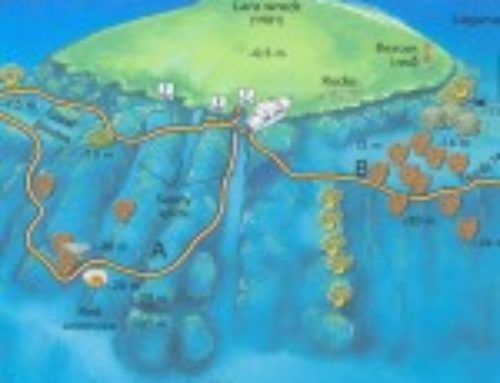 Jackson Reef