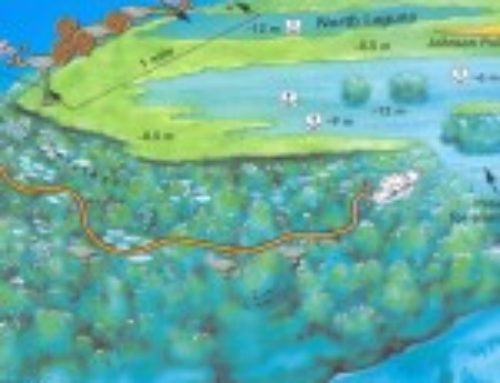 Laguna Reef