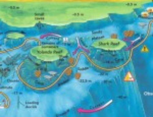 Sharks Reef & Yolanda Reef