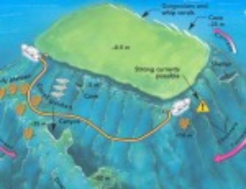 Thomas Reef