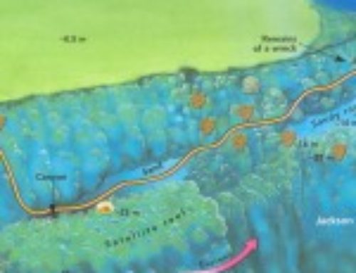 Woodhouse Reef