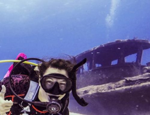 Adventure Diver