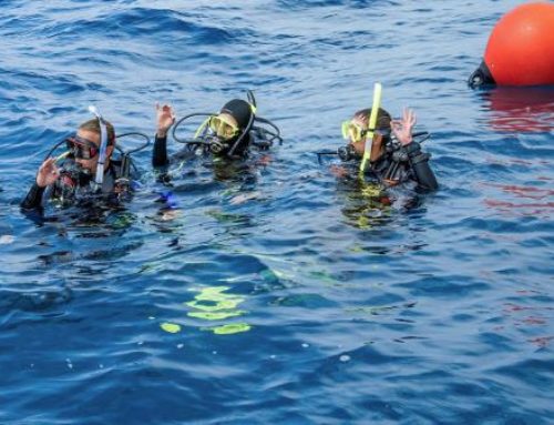 Divemaster