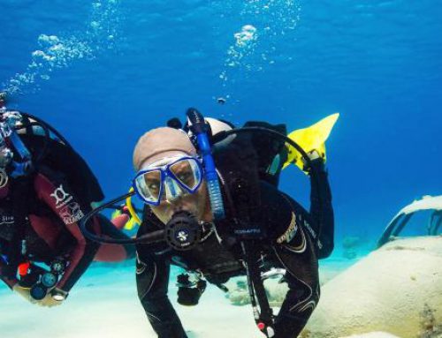 Master Scuba Diver