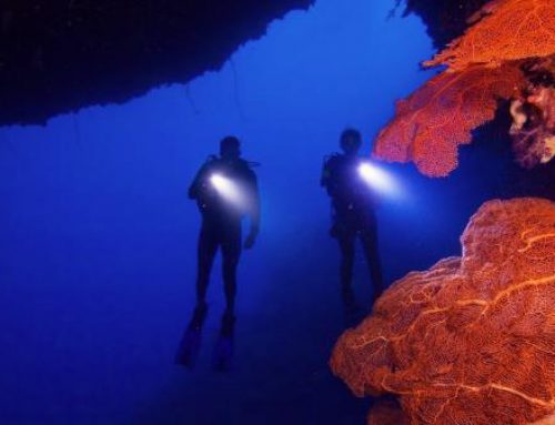 Master Scuba Diver Trainer