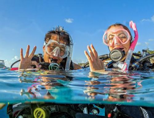 Open Water Diver
