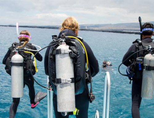 Open Water Scuba Instructor