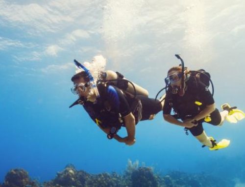 Scuba Diver