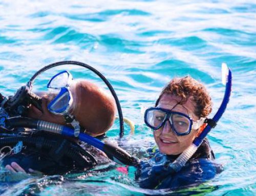 Rescue Diver